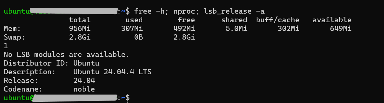 KAGOYA CLOUD VPSの1GBプラン。メモリ956Mi・スワップ2.8Gi・1コア・Ubuntu 24.04.4 LTS